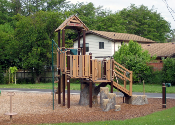 Browning Park Nature Inspired Play Structure