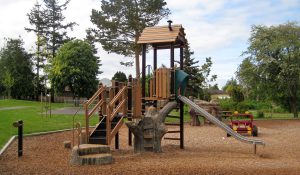 Browning Park Nature Inspired Playground