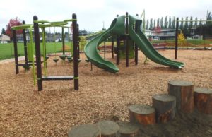 brown and green playground on woodchip surfacing