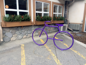 purple bike shaped rack