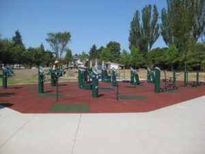 outdoor fitness equipment on red rubber surfacing