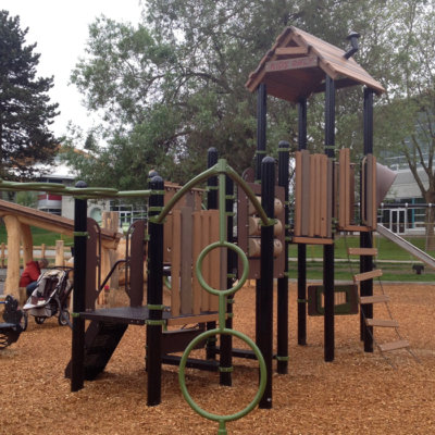 Trout Lake Nature Inspired Play Space