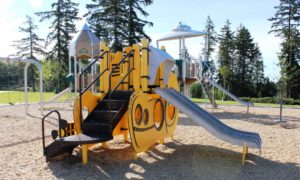 brown and green playground on woodchip surfacing