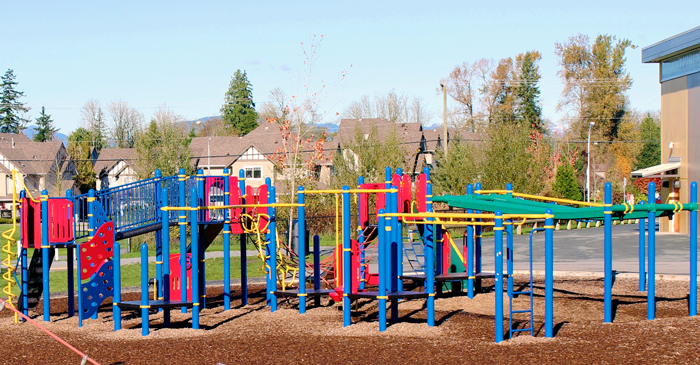 Adams Road Play Structure