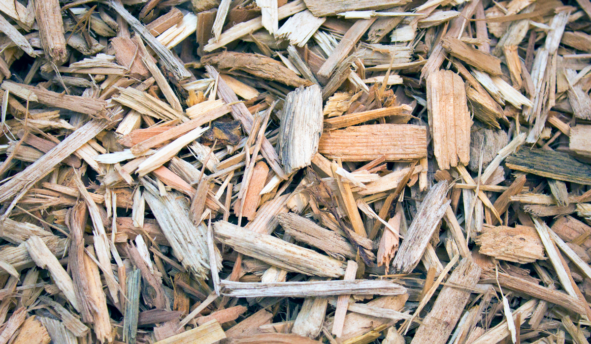 Engineered-Wood-Fibre