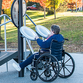 HealthBeat Tai Chi Wheels