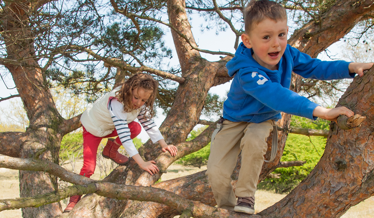 Risky Play - Habitat Systems