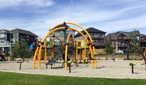 Hillcrest Evos Play Structure