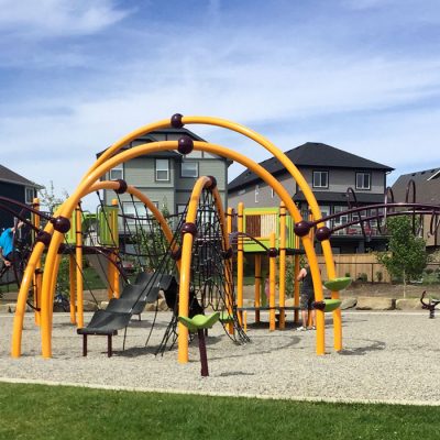 Hillcrest Evos Play Structure