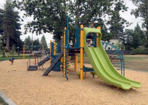 Crestwood Park playground with Double Swoosh slide
