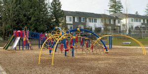 Cambridge Elementary Weevos play structure