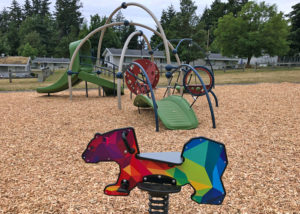Harbour Wood playground with DigiFuse Rider