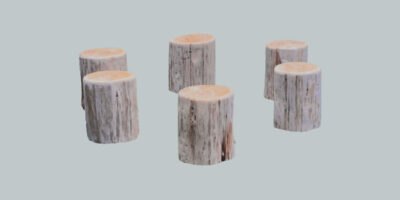 circle of stumps for outdoor learning