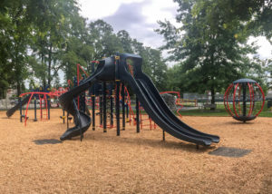 Douglas Park with slides