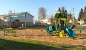 Sanderson Park SmartPlay Motion and swings