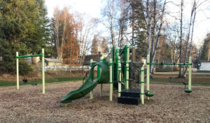 Starlane play structure with slide