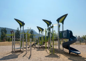 Webster Park playground