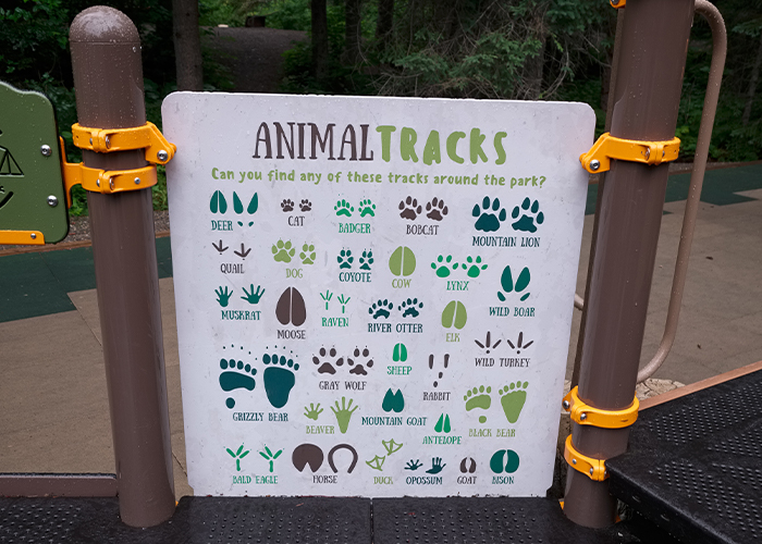 animal tracks panel on a playground