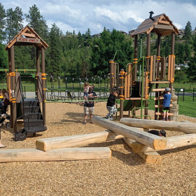 playground with wood accents and logs
