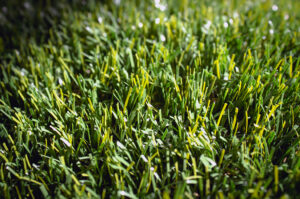 Close up of artificial turf for playgrounds