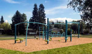 Blue Playground Structure