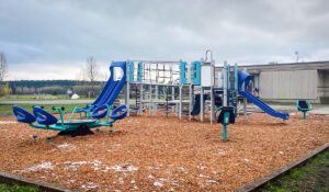 blue and silver playground on woodchip surfacing