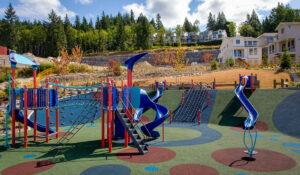 blue and red playground with hill slides in the back