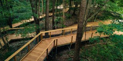 wood boardwalks weaving through trees