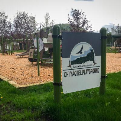 dark green, brown and black playground on engineered wood fibre (EWF) surfacing