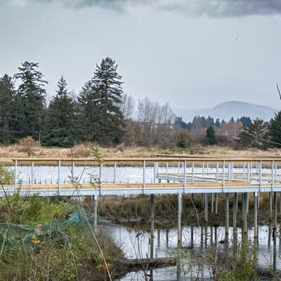 Steel boardwalk over wetland