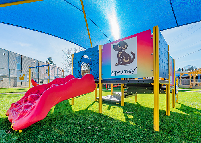primary coloured playground on grass