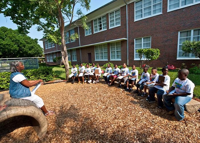 many children sitting on outdoor classroom stumps