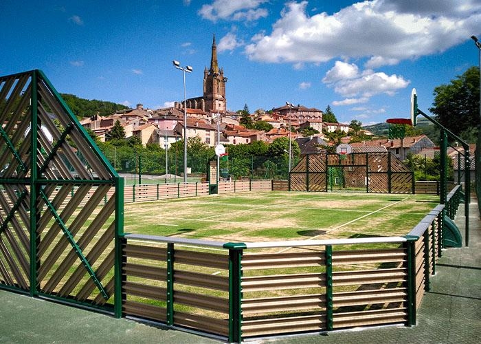 grass sports court with a track around it