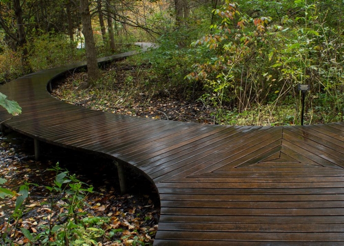 wood boardwalks weaving through trees