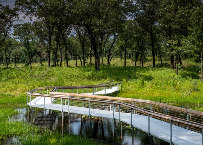 wood boardwalk weaving through wetlands