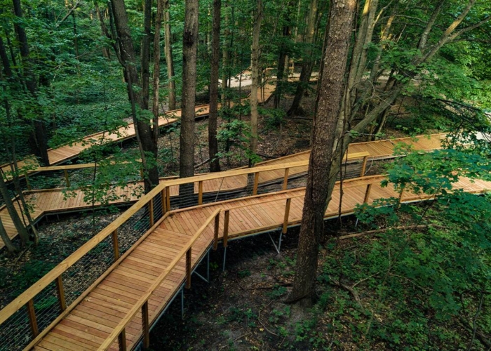 wood boardwalks weaving through trees