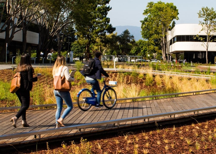wooden boardwalk with people walking and riding a bike