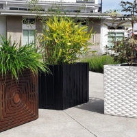 107264822 728941147855477 8093937767537522765 n