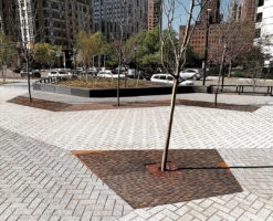 333282049 218785794146211 8638816318818299224 n